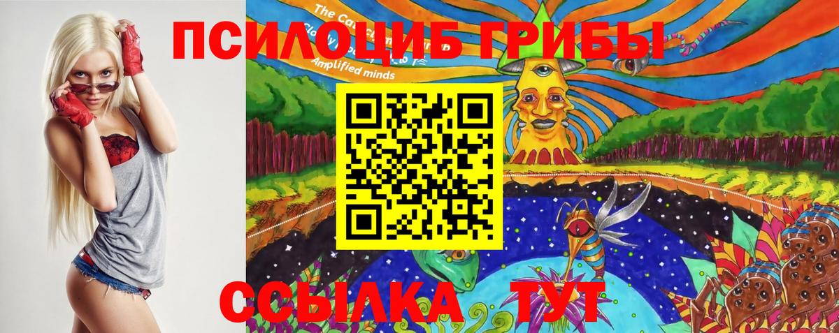 Псилоцибиновые грибы Psilocybe  Псилоцибиновые грибы мухоморы  Вход с VPN  Моршанск 